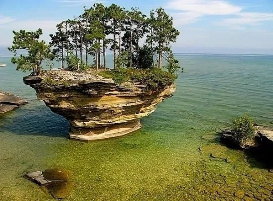 красота спасет мир